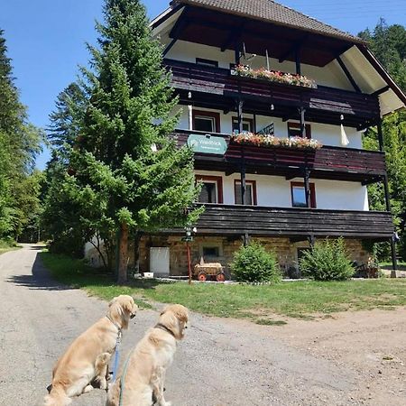Waldblick Ferienwohnungen Bonndorf im Schwarzwald Dış mekan fotoğraf