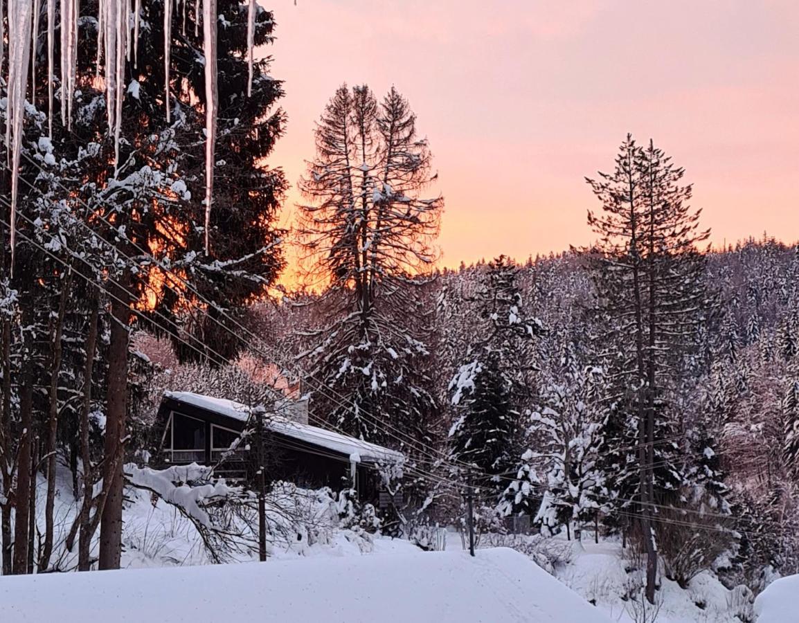 Waldblick Ferienwohnungen Bonndorf im Schwarzwald Dış mekan fotoğraf