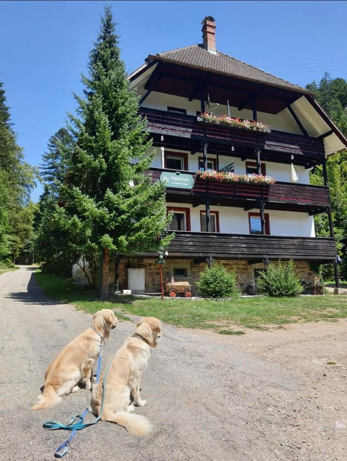 Waldblick Ferienwohnungen Bonndorf im Schwarzwald Dış mekan fotoğraf